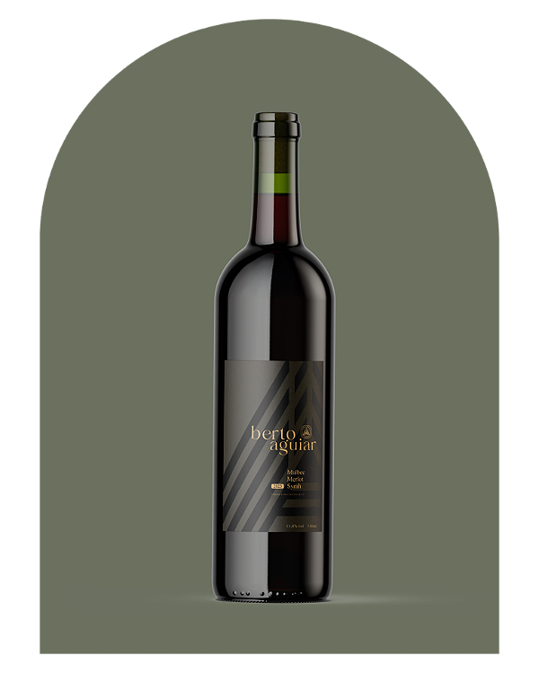 Blend de Tintas | Malbec, Merlot e Syrah