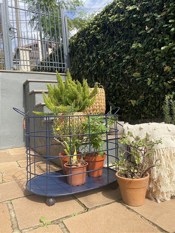 Cesta carrinho azul G