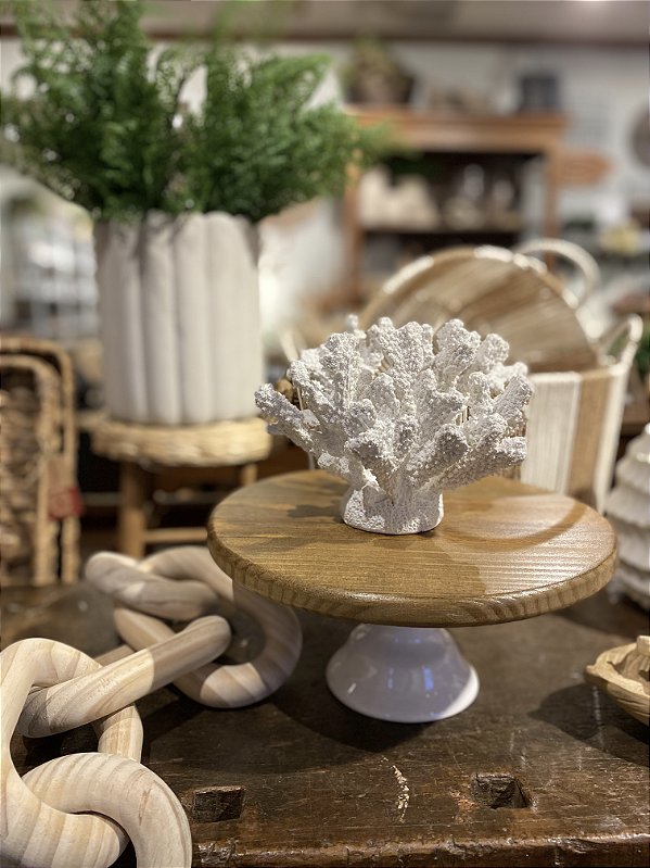 Coral em resina branco