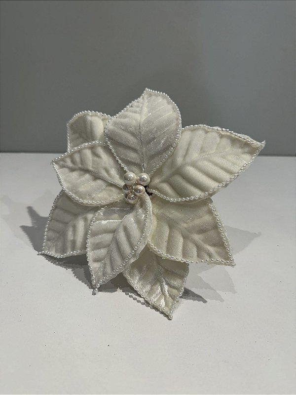 Poinsetia branca 22cm