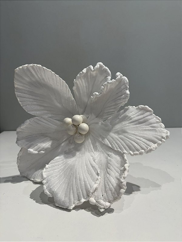 Poinsetia off white