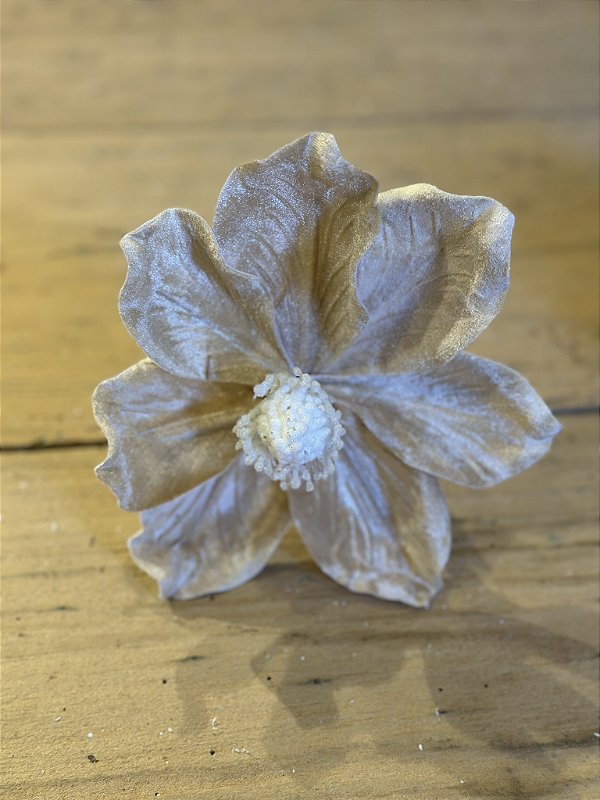 Magnólia decorativa nude