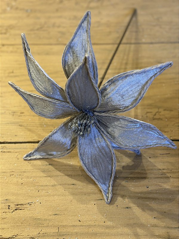 Poinsetia cinza