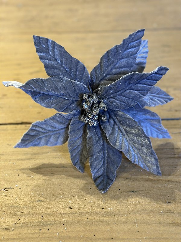 Poinsetia decorativa cinza