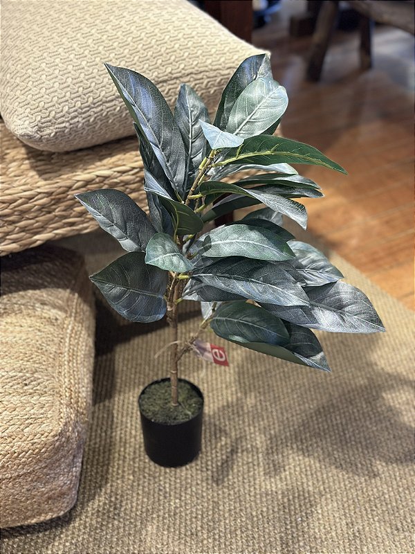 Planta nespereira verde