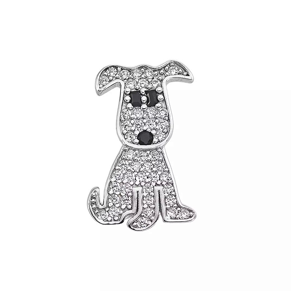 Charm dog