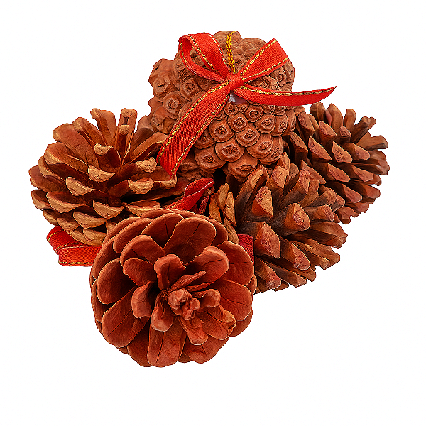 Pendente Pinha de Madeira 5CM | 6 Unidades