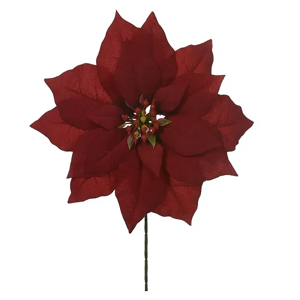 H.Bico Papagaio (Vermelho) 25cm