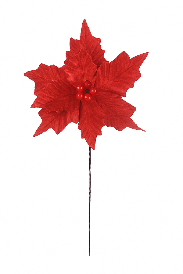 H.Bico Papagaio Aveludado (Vermelho) 24CM