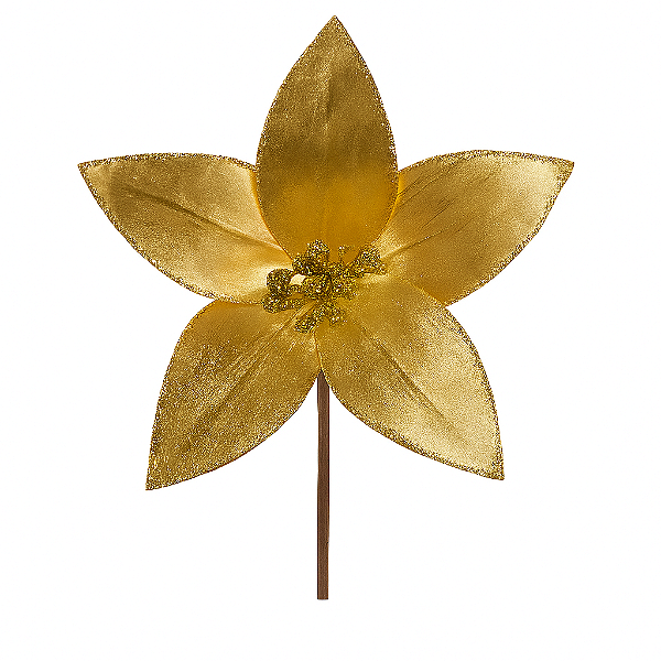 H.Bico de Papagaio Aveludado Com Glitter Dourado Glitter Dourado 23cm