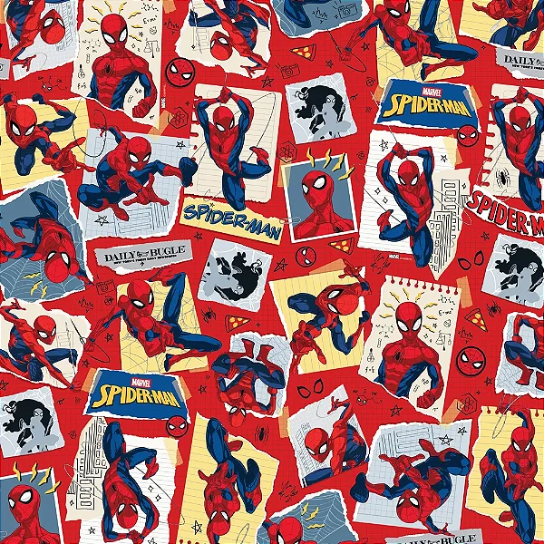 Saco Para Presente Metal Sketch Spider 30X44CM - 50 Unidades