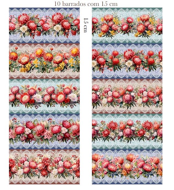 BR096 Barrado Protea