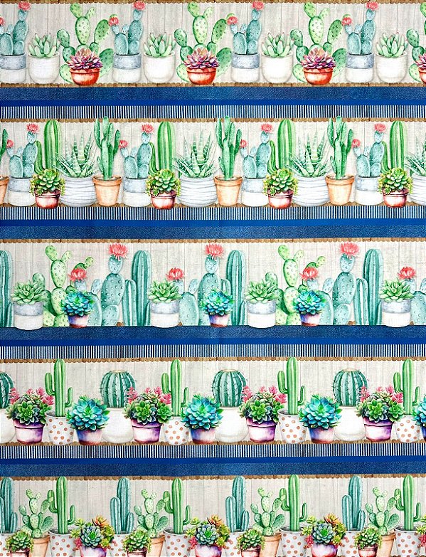 BR107 Barrado Cactus & Cia