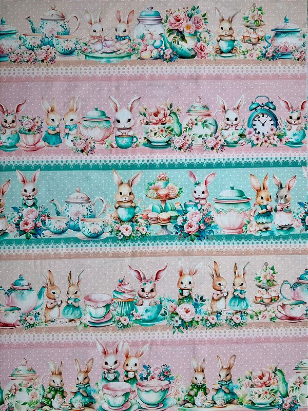 BR083 Barrado De Volta Para Casa 1