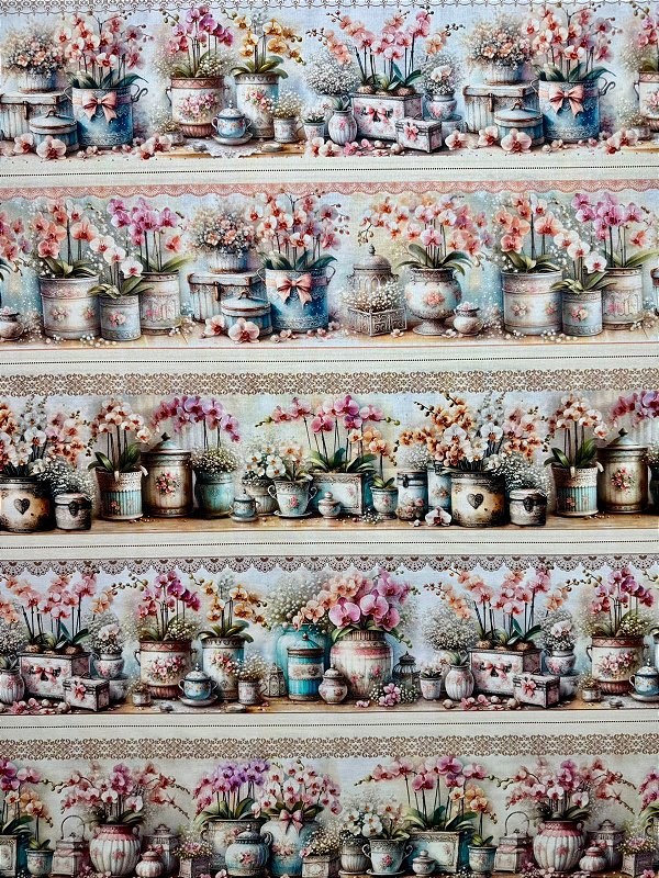 BR241 Barrado Orquídeas no Vaso