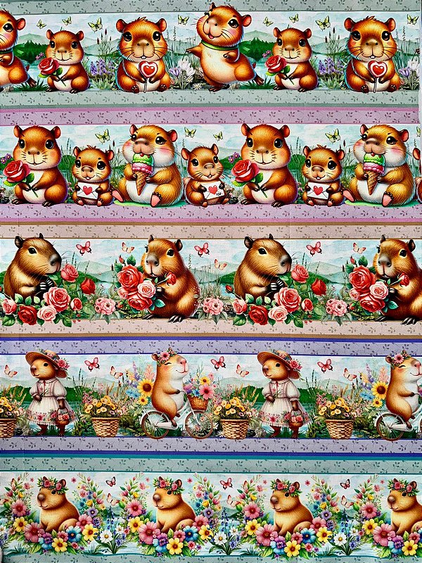 BR270 Barrado Jardim das Capivaras