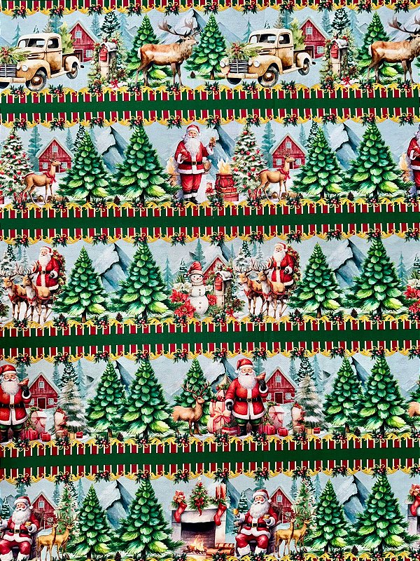 BR273 Barrado Noel na montanha