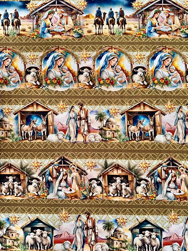 BR284 Barrado Noite feliz