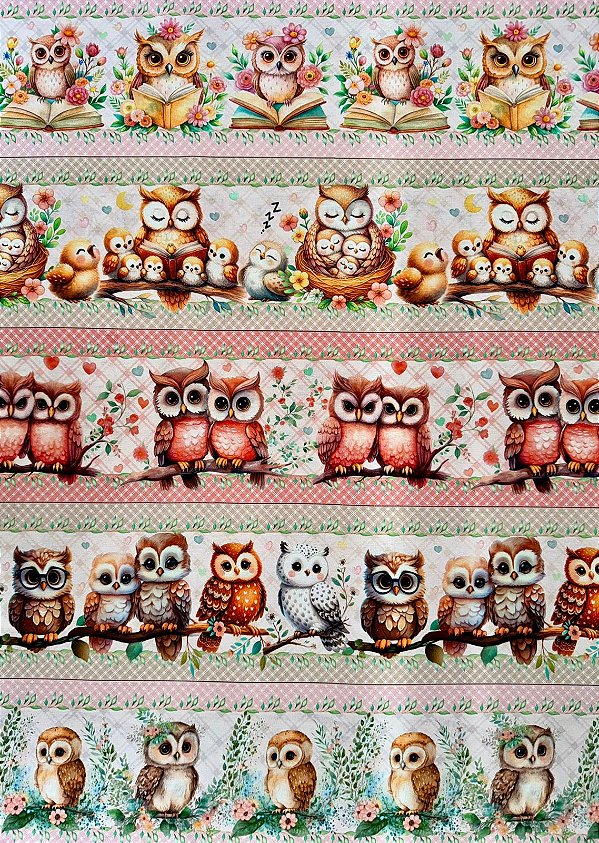 BR308 Barrado Corujinhas