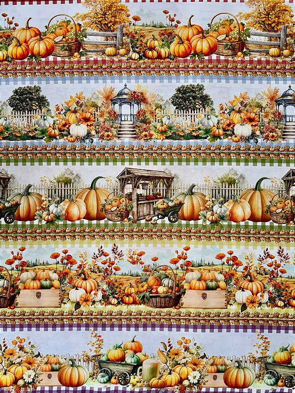 BR307 Barrado colheita das aboboras