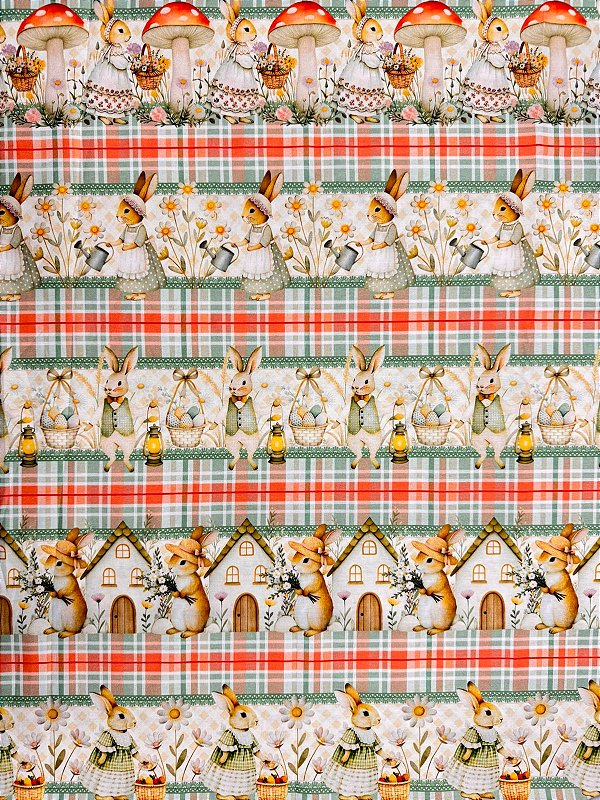 BR377- Barrado Passeio de Pascoa