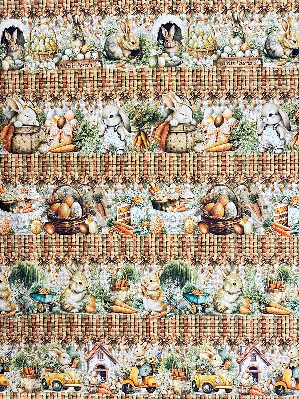 Br382 Barrado Cenourinha