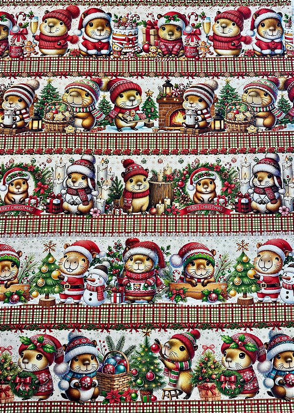 BR428 Barrado Natal Das Capivaras