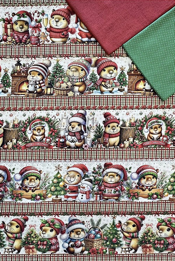 Kit BR428 Natal das Capivaras
