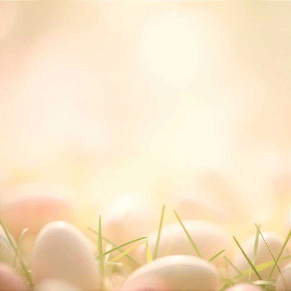 Fundo Fotográfico MDF 60x60cm Easter Minimal