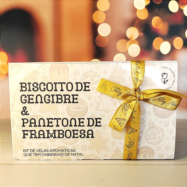 Kit 2 Velas Aromáticas Biscoito de Gengibre e Panetone de Framboesa | Coleção de Natal - Símbolos