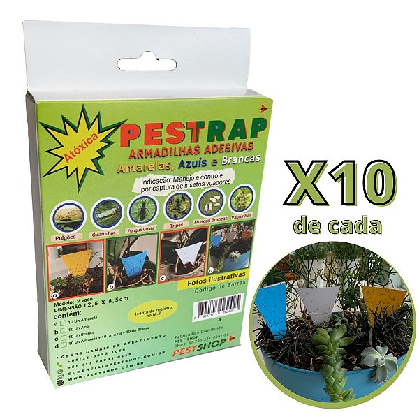 Kit Pestrap3 Cores F.gnats Mod V Vaso12,5x8,5 10 Un De Cada