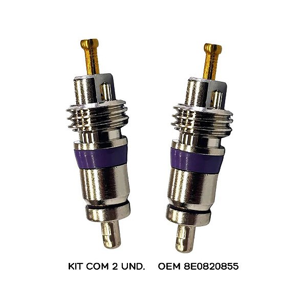 NÚCLEO KIT C/2 UND VÁLVULA NÚCLEO VW AMAROK-GOLF-NIVUS-PASSAT-POLO - T-CROSS-TAOS-TIGUAN-TOUAREG-UP-VIRTUS OEM 8E0820855