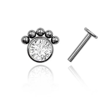 Labret ornamental