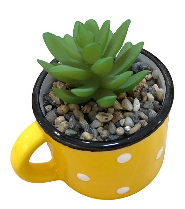 Cachepot Poá com Suculenta Amarelo