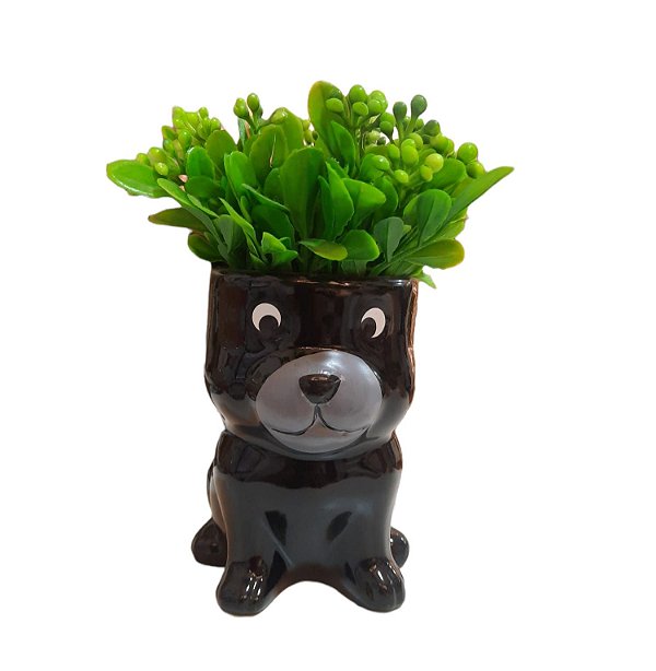 Vasinho com Verdino Cachorro Preto