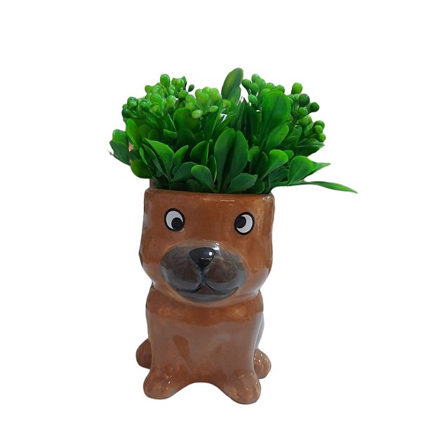 Vasinho com Verdino Cachorro Marrom