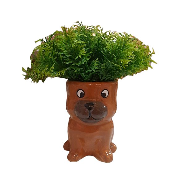 Vasinho com Verdino Cachorro Marrom