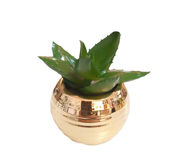 Vaso Dourado com Suculenta