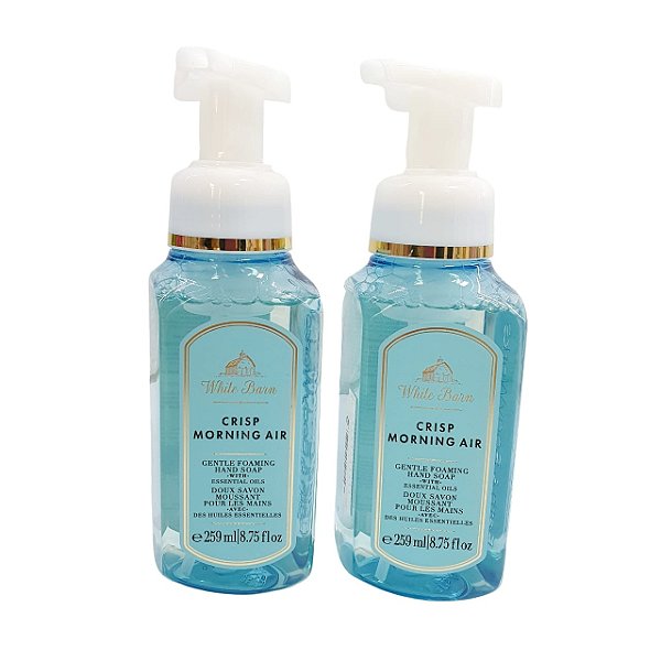 Sabonete Espuma Crisp Morning Air - Bath Body Works - 259ml - Original