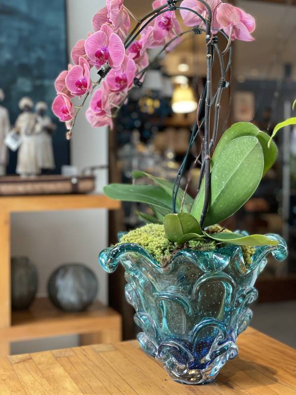 Cachepô Aspente em Cristal Murano - São Marcos 35 cm