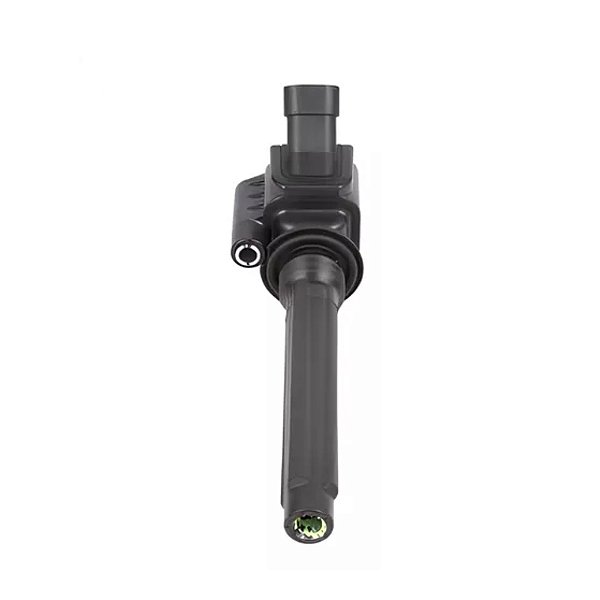 Bobina De Ignição Toro Renegade 1.8 16v Etorq 2016 Em Diante 0221504057