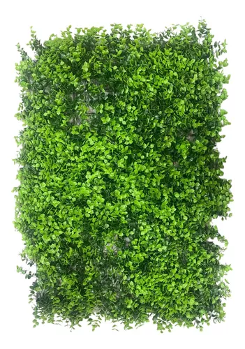 Placa Jardim Vertical Muro Inglês 40x60cm