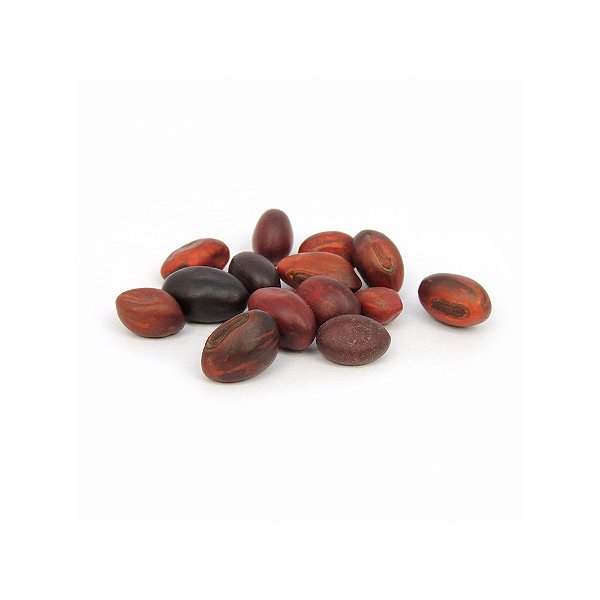 Fava de Ogum