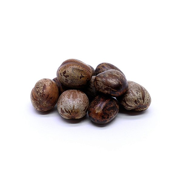 Fava de Omolu