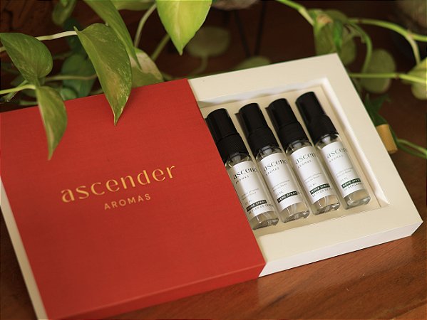 Kit mini Home Spray