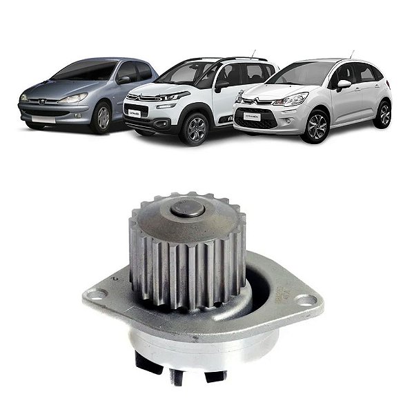Bomba D'agua Citroen Picasso Xsara Zx Bx Peugeot 106 206 306