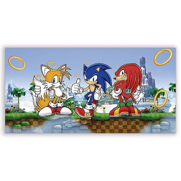 Painel Retangular - Sonic - Sublimado 3D