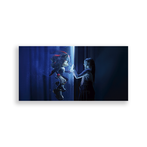 Painel Retangular - Sonic Shadow - Sublimado 3D