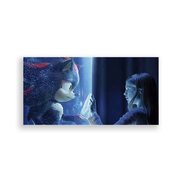 Painel Retangular - Sonic Shadow - Sublimado 3D