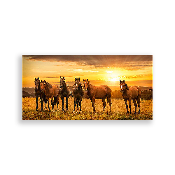 Painel Retangular - Cavalos - Sublimado 3D